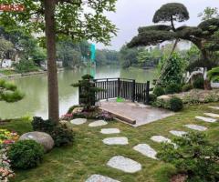 Bán song lập Hoa Sữa Riverside, 250m2, h thiện đẹp, hiện đại, view sông thoáng, giá: 43 tỷ - 3