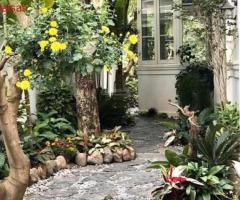 Bán song lập Hoa Sữa Riverside, 250m2, h thiện đẹp, hiện đại, view sông thoáng, giá: 43 tỷ - 4