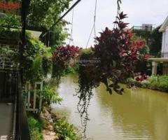 Chính chủ cần bán biệt thự Vinhomes Riverside, biệt thự sân vườn đường Phong Lan gần 400m giá 69 tỷ - 2