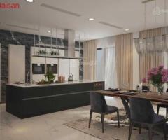 Bán đơn lập Hoa Lan 6, vị trí ngã 3 sông, 383m2, 66 tỷ hoàn thiện đẹp, nội khu trung tâm Vinhomes - 2