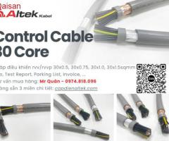 Cáp tín hiệu điều khiển 30 lõi – Altek Kabel - 4