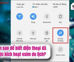 Làm sao để biết điện thoại đã được kích hoạt esim du lịch?