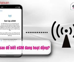 Làm sao để biết eSIM đang hoạt động?