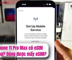 iPhone 11 Pro Max có eSIM không?