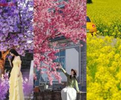 Đi Trung Quốc mùa nào đẹp? Kinh nghiệm du lịch 4 mùa A-Z - 2