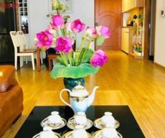 Chính chủ cần bán căn hộ DT 115m2, tại tòa Pak Hill 6 Times City, Minh Khai, Hai Bà Trưng - 3