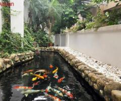 Bán biệt thự đường Hoa Sữa 6 - Vinhomes Riverside - Quận Long Biên - diện tích 260m2 - 5