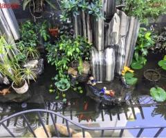 Chính chủ bán biệt thự song lập Anh Đào Vinhomes Riverside, diện tích 161,5m2, Tây tứ trạch - 3