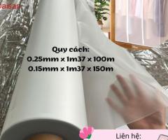 Màng trong mờ- giải pháp thẩm mỹ & bảo vệ đỉnh cao - 2