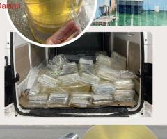 báo giá màn nhựa pvc ngăn lạnh chi tiết