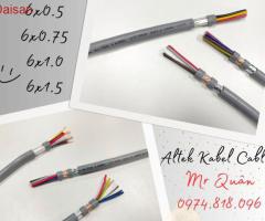 Cáp điện 6 lõi Altek Kabel, CT-500 SH-500 - 2