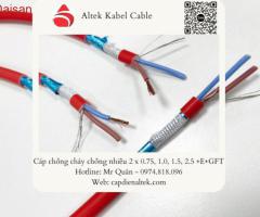 Cáp chống cháy chống nhiễu FR 2x1.5 - 4