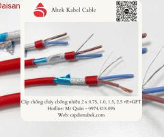 Cáp chống cháy chống nhiễu FR 2x1.5 - 6