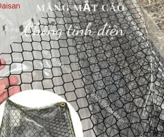 Màng mắt cáo chống tĩnh điện- giải pháp an toàn & bền bỉ