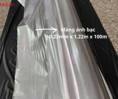 Cực phẩm màng pvc ánh bạc - sẵn kho số lượng lớn - 2