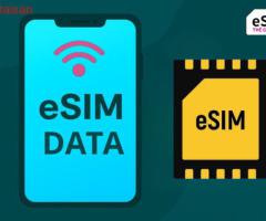 Nên chọn eSIM chỉ có dữ liệu hay esim có số điện thoại?