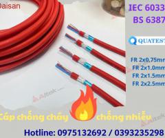 Cáp chống cháy chống nhiễu – Duy trì tín hiệu khi xảy ra hỏa hoạn
