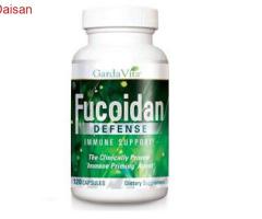 Viên uống Fucoidan Defense USA - Hỗ trợ điều trị ung thư hiệu quả