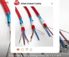 Cáp chống cháy chống nhiễu 2x0.75 FR2075GFT - 4