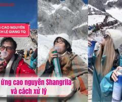 Phản ứng cao nguyên Shangrila và cách xử lý