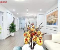 Bán 3PN góc 113m2 full sáng đồ cơ bản giá chỉ 5tỷ6 bao phí, có slot ô tô. Xem nhà - 3