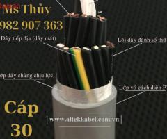 Cáp điều khiển 30 lõi, Cáp tín hiệu 30 core - 3